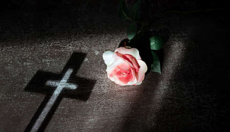 Composition with Beautiful pink rose and shadow of the cross on rustic background. copy space.の写真素材