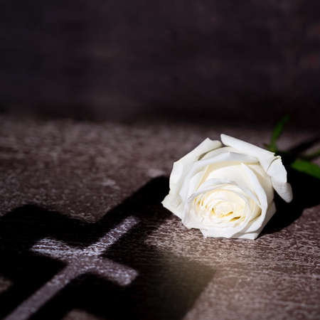 Composition with Beautiful white rose and shadow of the cross on rustic background. copy space.の写真素材