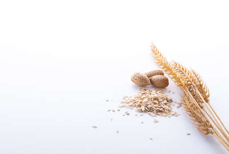 Oat flakes and wheat ears on a white background. Copy space.の写真素材