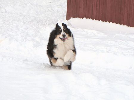 Fun in the Snowの写真素材