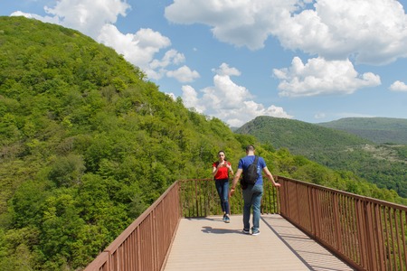 Group travelers travel In the forest of the mountains reserve. Trekking together. Active and healthy lifestyle on summer vacation and weekend tourの写真素材