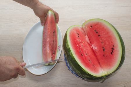 Summer and fresh watermelon topic: human hand with a knife beginning to cut a watermelon. watermelon...