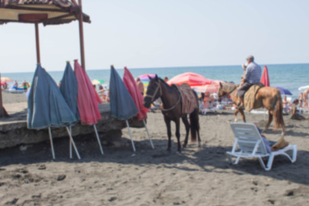Beach life, holidaymaker at the beach of the image desired blur. Horses on beachの写真素材