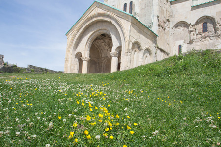 A Spring day. Wild yellow flowers, Green grass on background temple