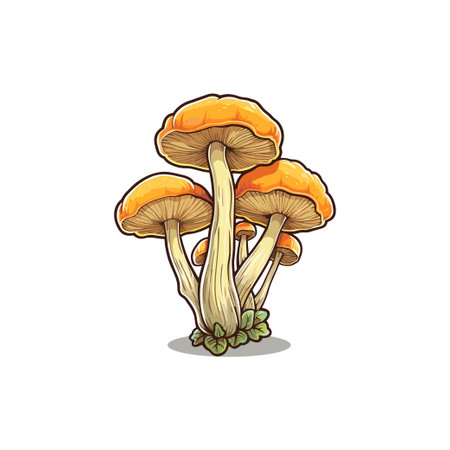 cantharellus cibarius kawaii cartoon illustrationのイラスト素材