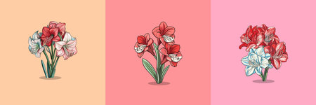 amaryllis vector clip art illustrationのイラスト素材
