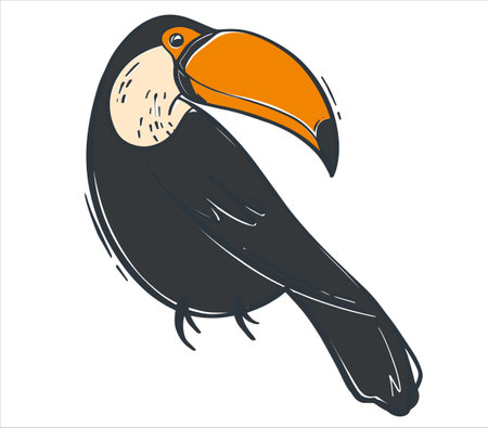Trendy flat illustration with black toucan for any design. tropical bird. vector illustration.のイラスト素材
