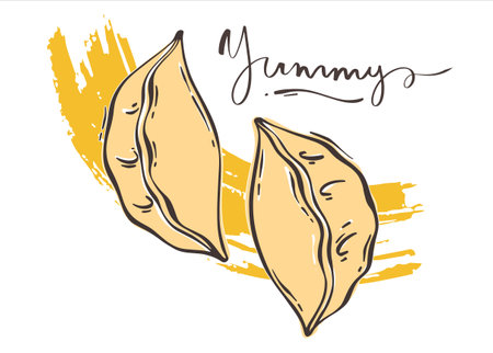 Two dim sums on a yellow background. Boiled dumplings banner template. Asian Traditional Cuisine. Vector illustration in a flat style.のイラスト素材