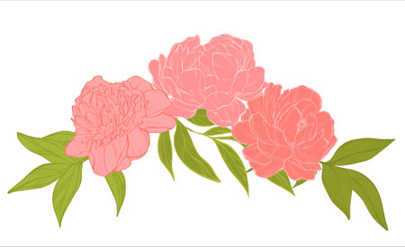 Delicate flower arrangement with pink peonies. Design element with floral pattern. Elegant decorative design. vector design template. flowers background.のイラスト素材