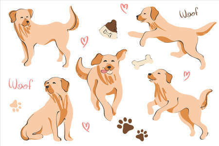 Dogs labrador and retriever in different poses. Set for adult gold and puppies. Set with elements of bowls and bones. Vector illustration in a flat style.