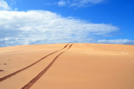 Vehicle tyre tracks across remote desert sand dunesの写真素材