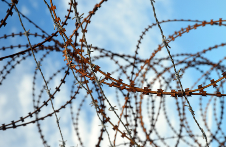 Tangled barbed wire fence with sky backgroundの写真素材