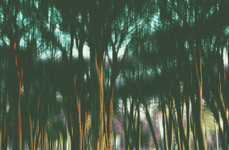 Abstract ethereal woodland at sunset with ghostly birds in flight. Digital photo manipulation.の写真素材