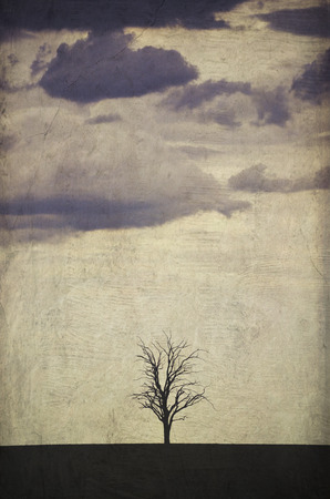Single leafless dead tree in a field silhouetted against a grunge textured stormy grey skyの写真素材