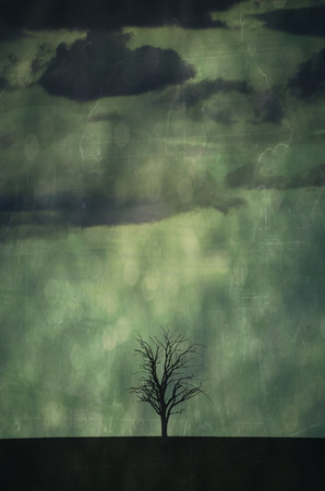 Single leafless dead tree in a field silhouetted against a grunge textured rain effect grey skyの写真素材