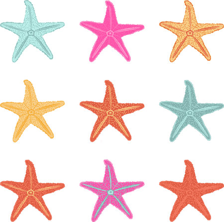 vector set of starfish in different colors on a white backgroundのイラスト素材