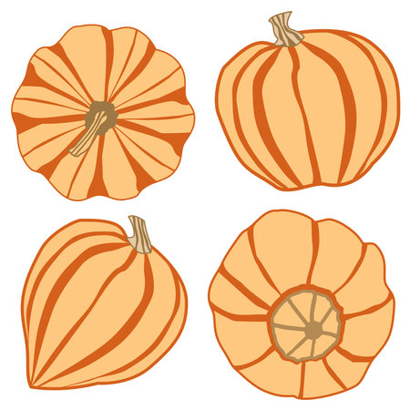 vector set with four images of pumpkins from different angles in orange and yellow on a white backgroundのイラスト素材