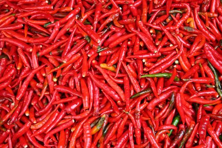Hot Red Chilliesの写真素材