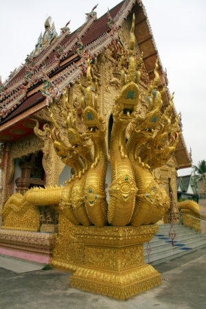 Naga outside Templeの写真素材
