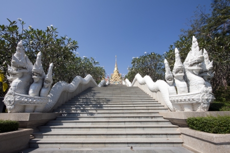 Temple Steps and Nagaの写真素材