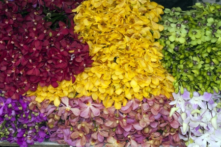 Bunches of orchids at flower marketの写真素材