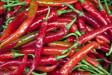 Hot Red Chillies