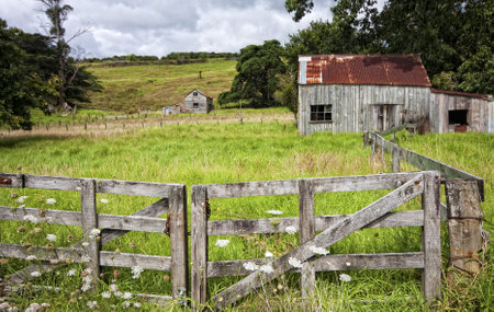 Farm, Coromandel Peninsular, NZのeditorial素材