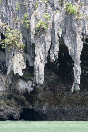 Limestone stalectites in Phang Nga Bay, Thailandの写真素材