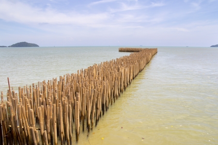 Bamboo pole breakwater, Phuket, Thailandの写真素材