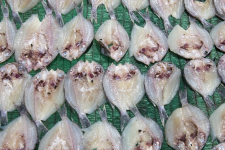 Fish drying in the sun at Bang Tao, Phuket, Thailandの写真素材
