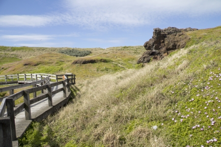 Wooden pathway through hills on a sunny dayの写真素材