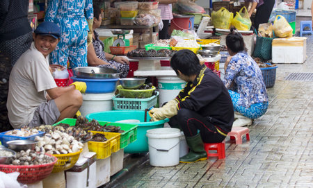 HO CHI MINH CITY,VIETNAM-NOV 5TH: The fish market on 5th November 2013. The market opens very early in the moring and is attached to Ben Thanh market.のeditorial素材