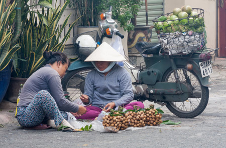 Ho Chi Minh City, Vietnam-Nov 1st 2013: 2 women fruit vendors sorting longan fruit. Street vendors can be found all over the city.のeditorial素材