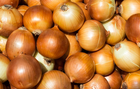 Brown skinned onions on a market stallのeditorial素材