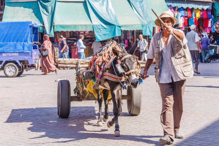 Marrakesh, Morocco - September 7th 2010: Man with donkey and cart. Traditional transport means are still used.のeditorial素材