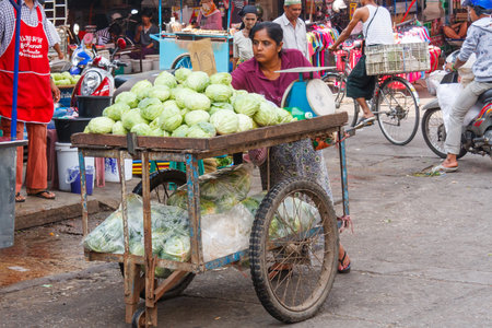 Mae Sot, Thailand - November 20th 2011: woman street vendor selling cabbagea, market. The town is close to the Burmese border.のeditorial素材
