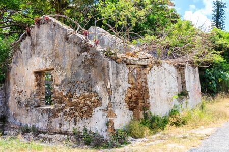 Ruins of house on Iles Des Pines, New Caledonia, SOuth Pacificの写真素材