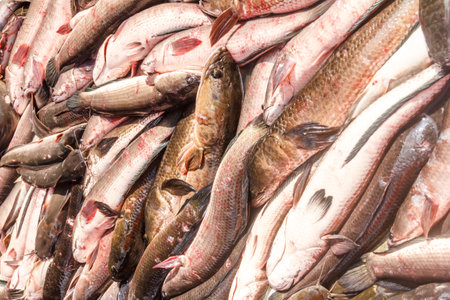 Bangkok, Thailand - November 14th 2015: Fish for sale on Khlong Toei market, Bangkok, Thailand. This...