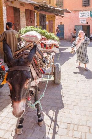 Marrakech, Morocco - September 9th 2010: Donkey in typical street scene. DOnkeys are still used extensively for the transport of goods.のeditorial素材