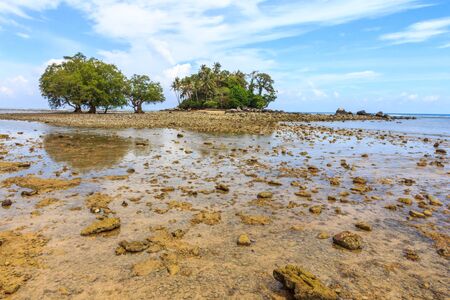 Trees on a rocky island, Nai Yang beach, Phuket, Thailand