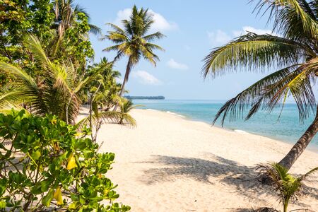 Tropical beach with palm trees in Chumphon, Thailand