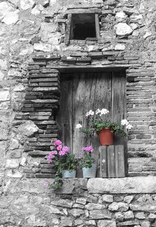Pelagonium flowers on window sill of old building, Labro, Umbria, Italyの写真素材