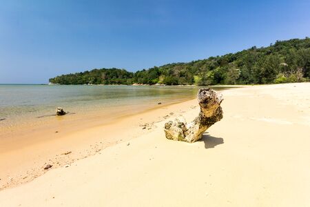 Driftwood on the whote sand beach at Layan, Bang Tao Bay, Phuket, Thaiandの写真素材