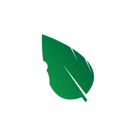 leaf icon vector illustration logo designのイラスト素材