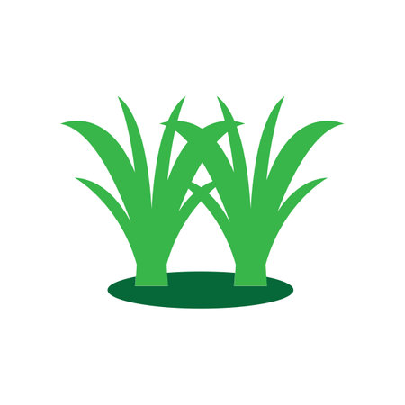 grass icon vector illustration symbol designのイラスト素材