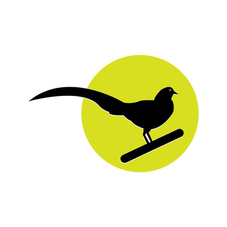 golden chinese pheasant icom vector illustration simple designのイラスト素材