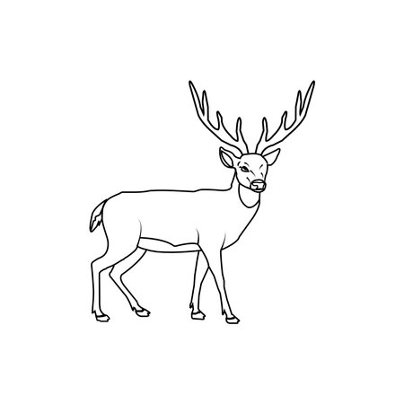 deer icon vector illustration symbol designのイラスト素材