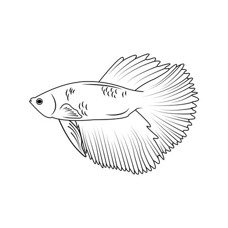 betta fish icon vector illustration symbol designのイラスト素材