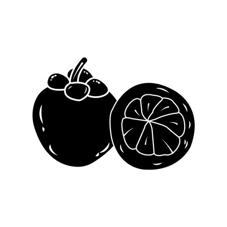 mangosteen icon vector illustration logo designのイラスト素材