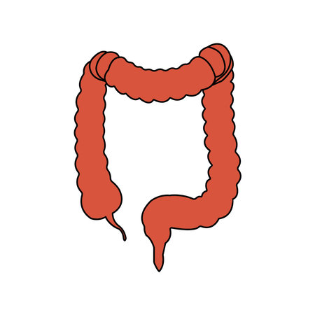 intestines vector illustration symbol designのイラスト素材